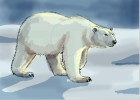 How to Draw Polar Bears