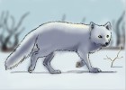 How to Draw an Arctic Fox