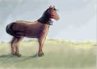 How to Draw a Mustang Horse