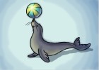 How to Draw a Cartoon Seal