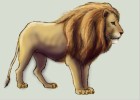 How to Draw The Great Lion