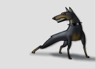 How to Draw a Doberman Pinscher Dog