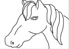 How to Draw a Horse'S Face