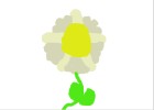 The Daisydil