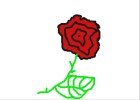 Ugly Rose :(