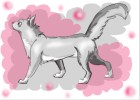 How to Draw Graystripe from Warrior Cats