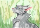 How to Draw Silverstream from Warrior Cats