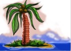 How to Draw a Coconut Tree