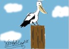 How to Draw a Pelican