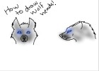 How to Draw Wolf Heads