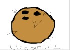 How to Draw a Coconut
