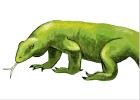 How to Draw Varan