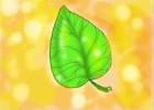 How to Draw a  Leaf