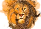 How to Draw Aslan from Narnia