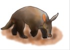 How to Draw an Aardvark