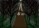 Coming Through The Black Woods