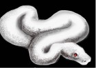 How to Draw an Albino Snake