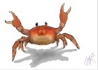 How to Draw a Crab