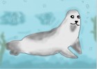How to Draw Seal?