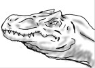 How to Draw a T Rex When Ur Board