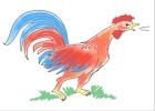 How to Draw a Rooster