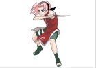 How to Draw Sakura