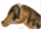 Learn to Draw a Horses Head