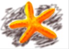 How to Draw a Starfish