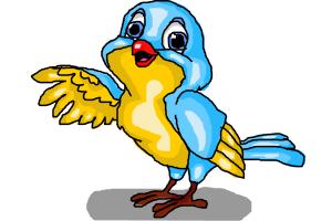 A Blue And Yellow Bird