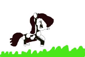 Black And White Paint Horse Jumping