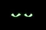 \"Glowing\" Cat Eyes