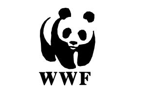 How Draw Wwf Logo - DrawingNow - 300 x 200 jpeg 6kB