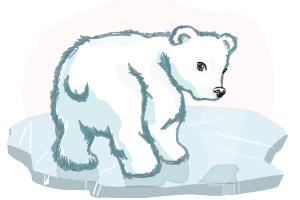 How to Draw a Baby Polar Bear