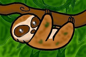 How to Draw a Baby Sloth