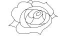 How to Draw a Basic Rose