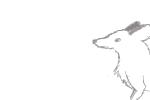 How to Draw a Bat Eared Fox