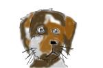 How to Draw a Beagle Puppy
