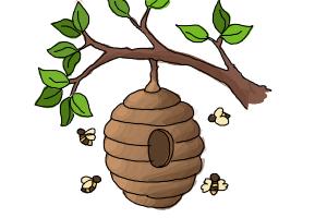 How to Draw a Beehive