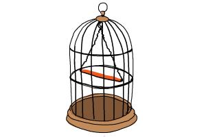 How to Draw a Bird Cage
