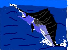 How To Draw A Black Marlin