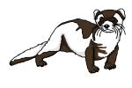 How to Draw a Black-Footed Ferret