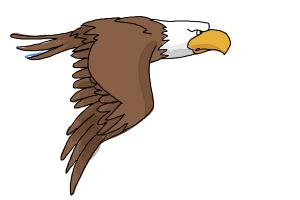 How to Draw a Cartoon Eagle