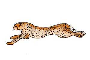 How to Draw a Cheetah Running