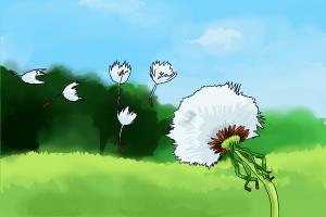 How to Draw a Dandelion