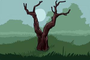 How to Draw a Dead Tree