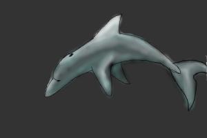 How to Draw a Dolphin #2