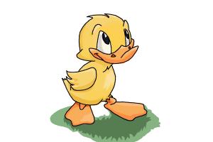 How to Draw a Duckling