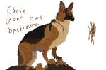 How to Draw a German Shepard