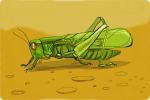 How to Draw a Grasshopper