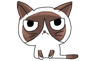 How to Draw Chibi Grumpy Cat - DrawingNow